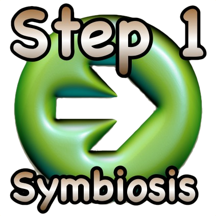 stap 1 symbiosis mycorrhiza schimmels
