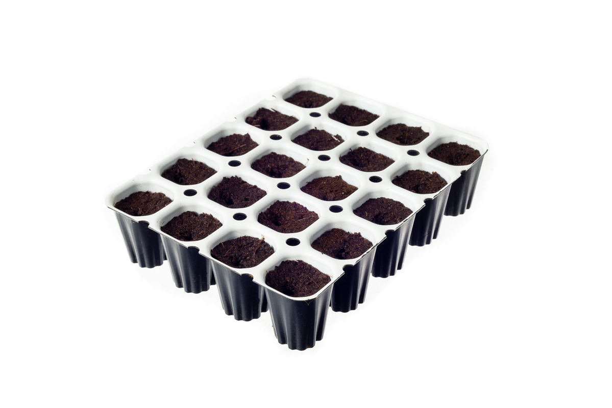 Spongepots soil tray with 20 holes for your cannabis seeds