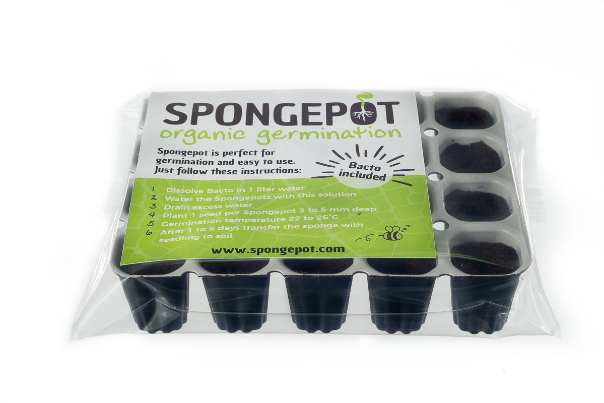 Spongepots for germination of cannabisseeds