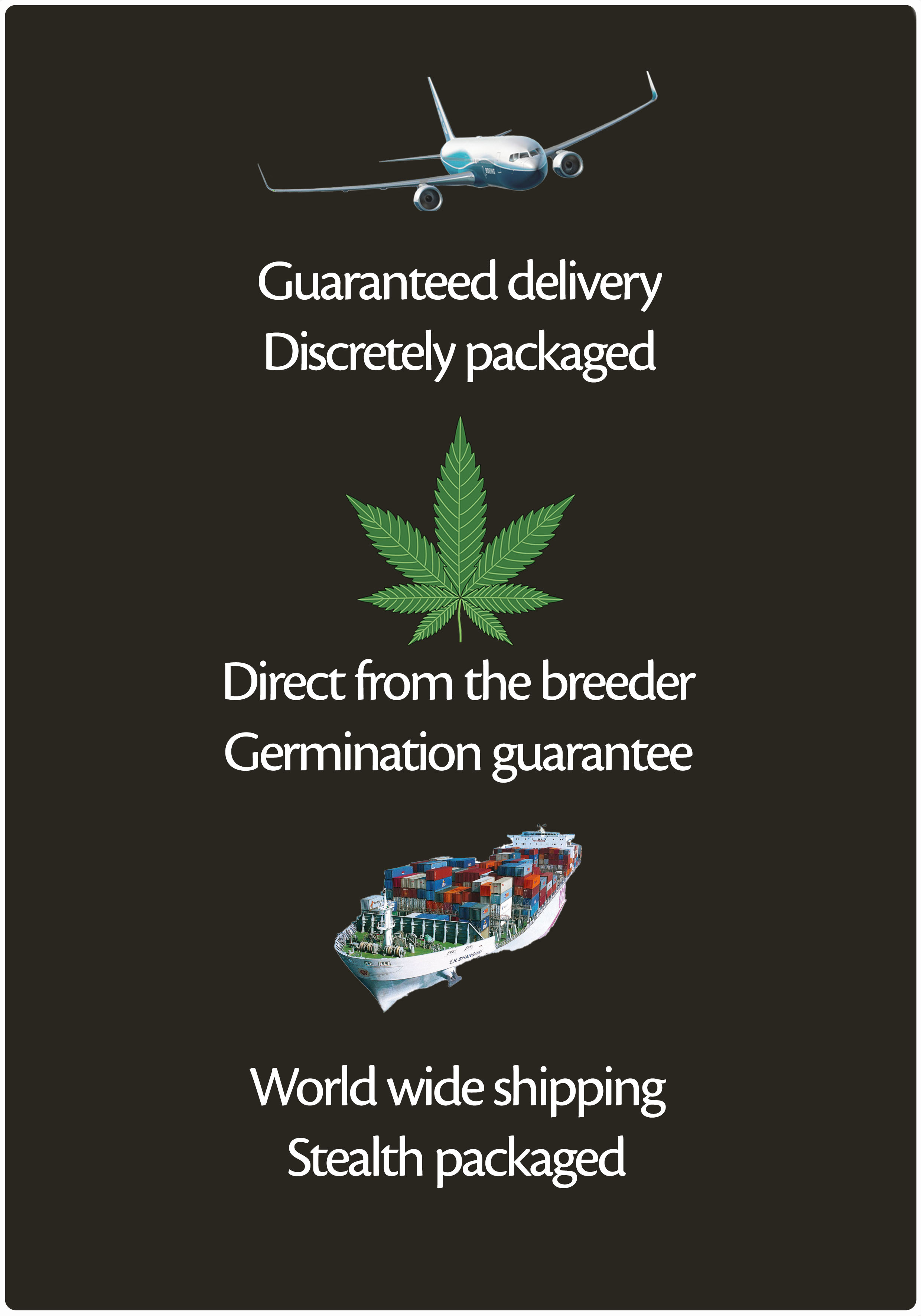 Guaranteed delivery , direct from the breeder, discretely packaged