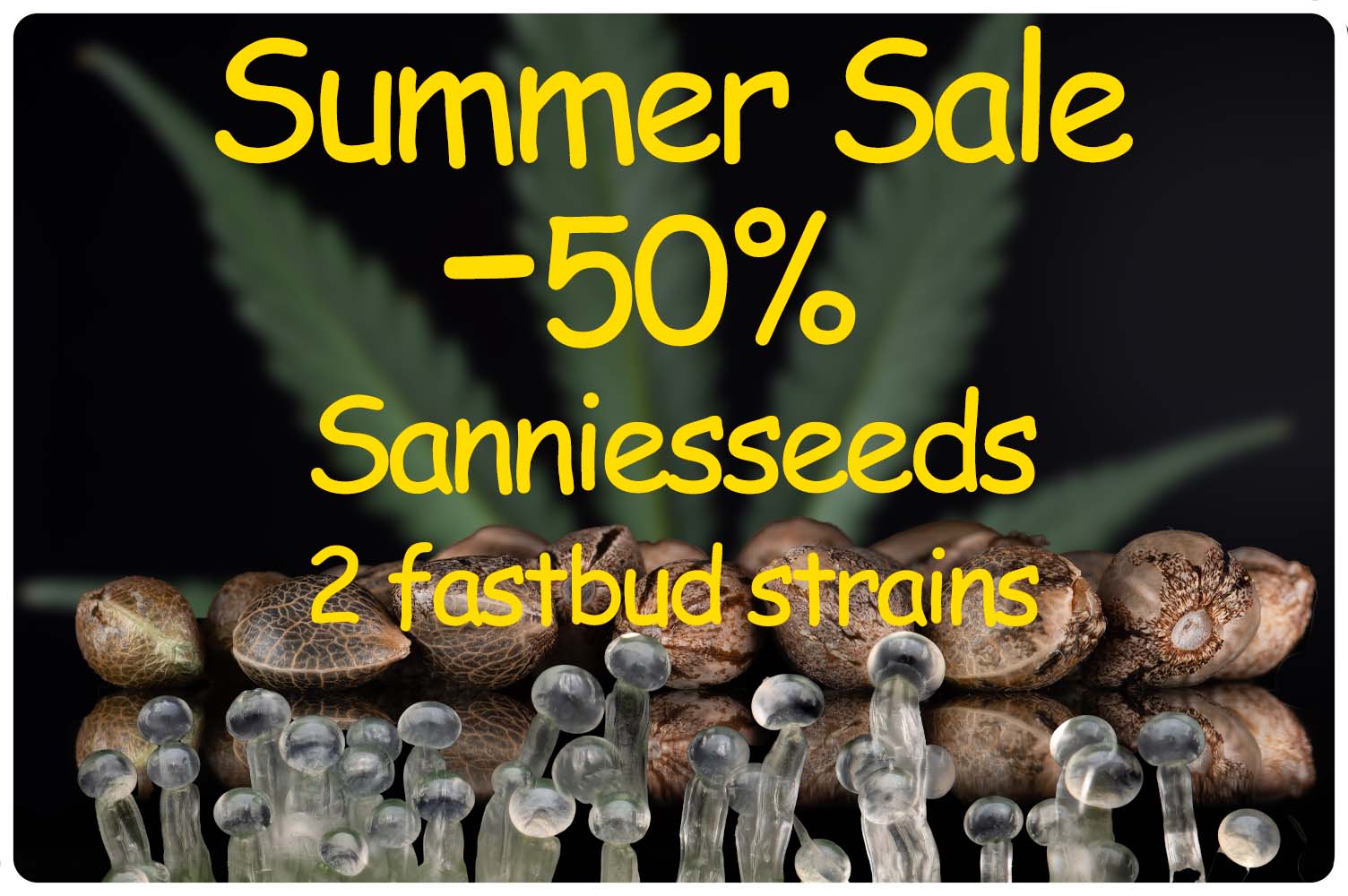 Summer sale 50% discount